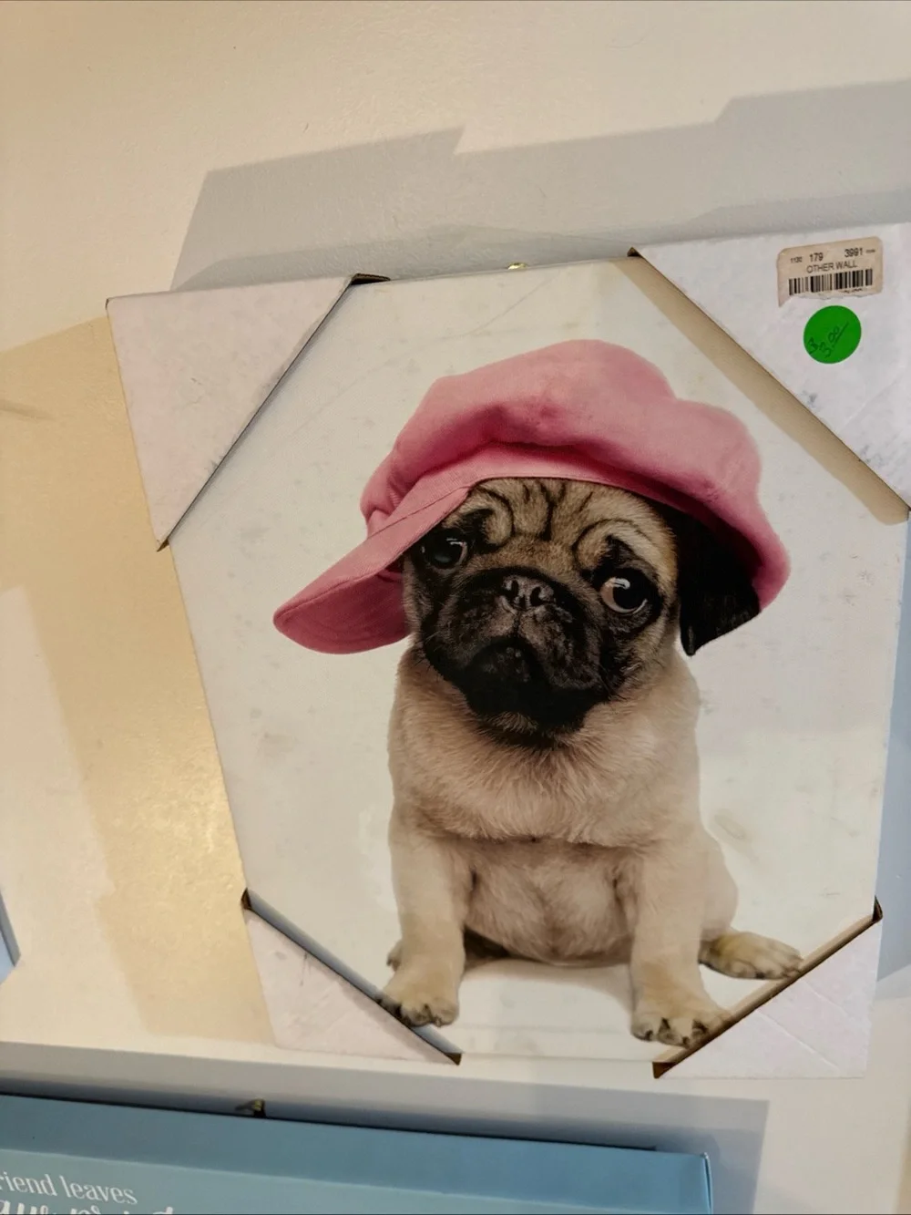 Cute Pug Wall Art - Pink Hat Puppy Print